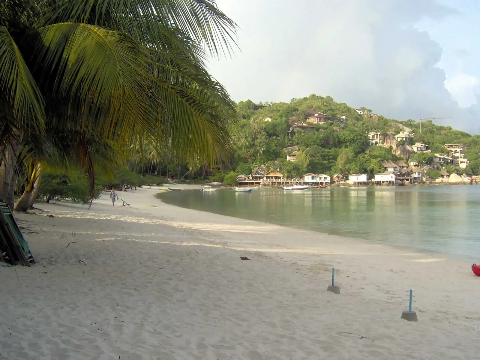 Plage de sable sous un cocotier face à une baie et ses maisons à flanc de colline à Koh Tao