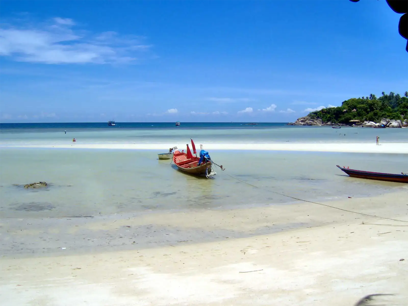 Bateaux à longue queue échoués à marée basse sur une plage de sable blanc à Koh Tao
