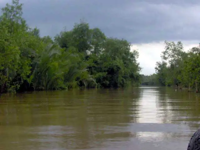 Canal aux eaux brunes bordé de palmiers d’eau sous un ciel d’orage, dans le delta du Mékong