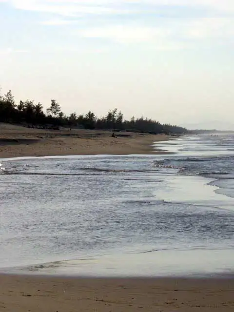 Vagues étalées sur le sable d’une longue plage déserte bordée d’arbres à Hoi An