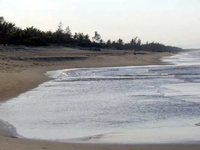 Plage de Hoi An presque déserte, frange d’arbres et reflets du soleil sur l’eau