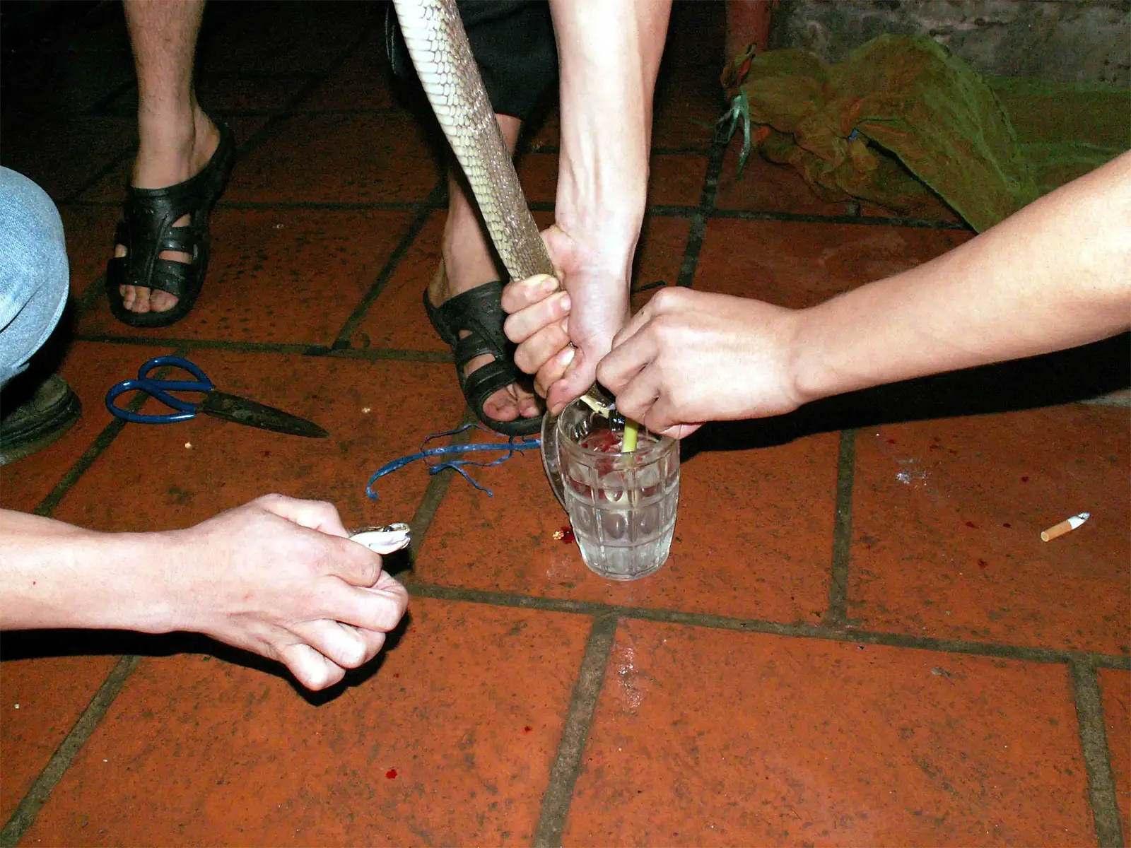 Cobra saigné au-dessus d’un verre posé sur le carrelage d’un restaurant de Saïgon